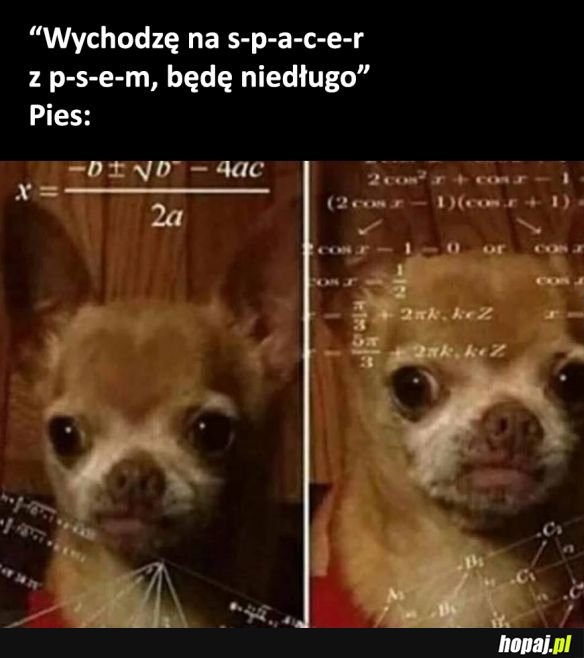 Dyskretna mowa