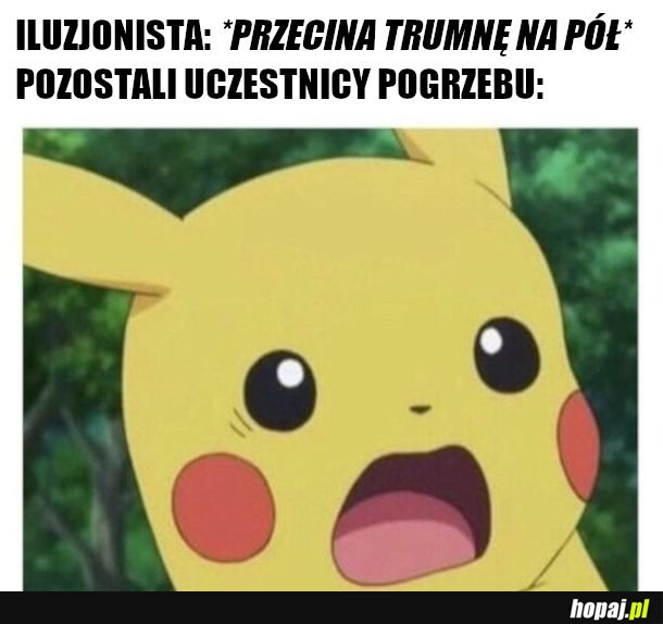 Pika? 