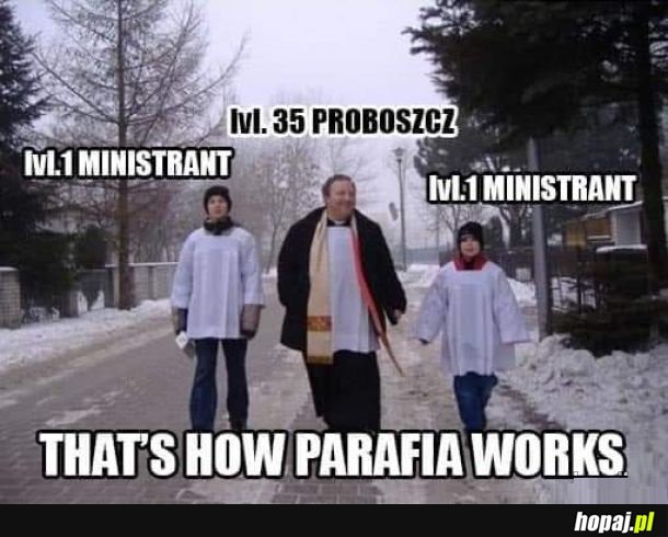 How parafia works