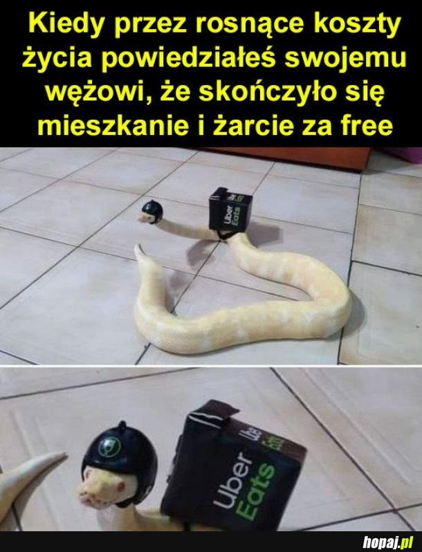 Nie martw się, Jacuś. Ogarniemy 