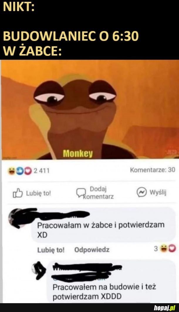 Potwierdzam