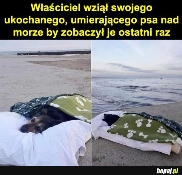 Pożegnanie