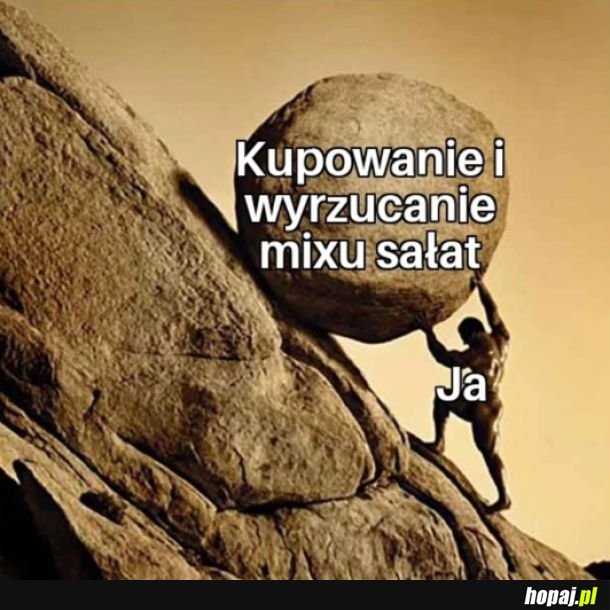 Krąg życia
