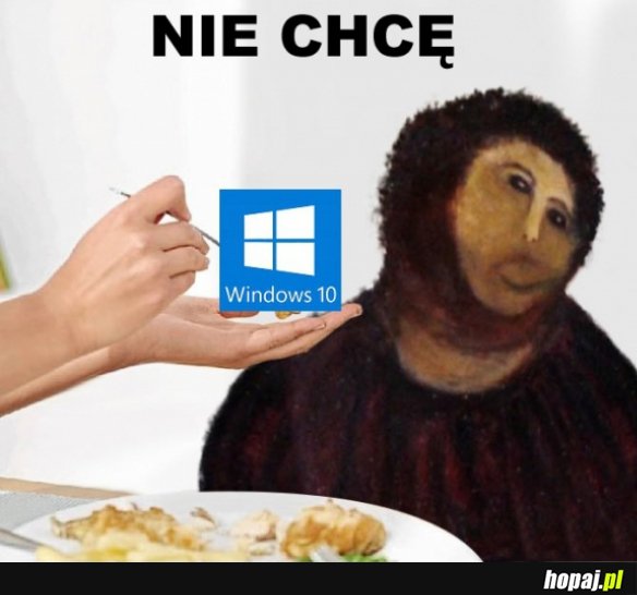 Windows 10