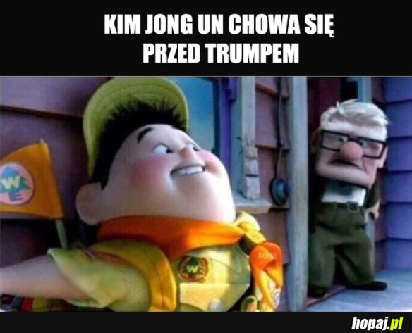 ZDJECIE W KOLORZE