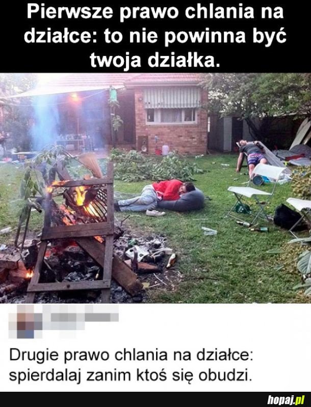 Impreza na działce