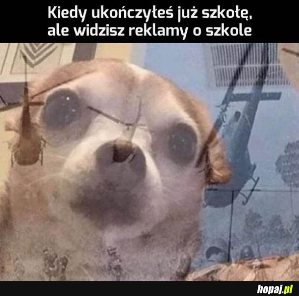  Wspomnienia wracają 