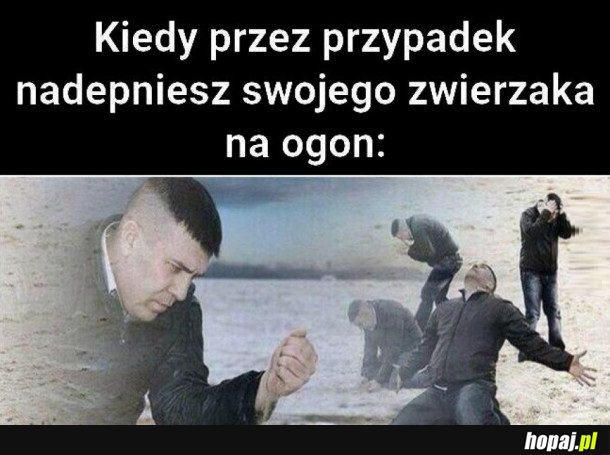 PRZEPRASZAM!