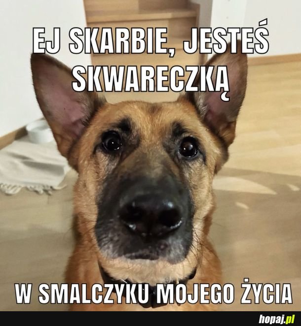 Dobry tekst na podryw