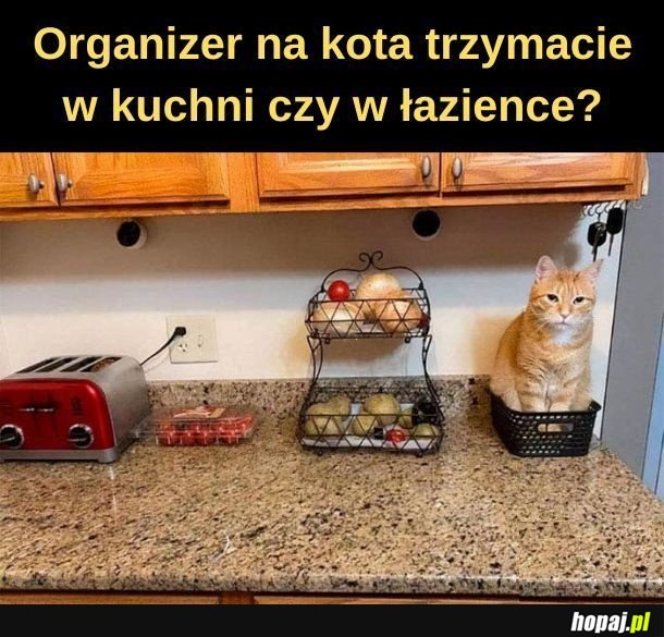 Organizer