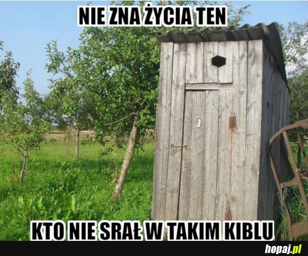 Z desek