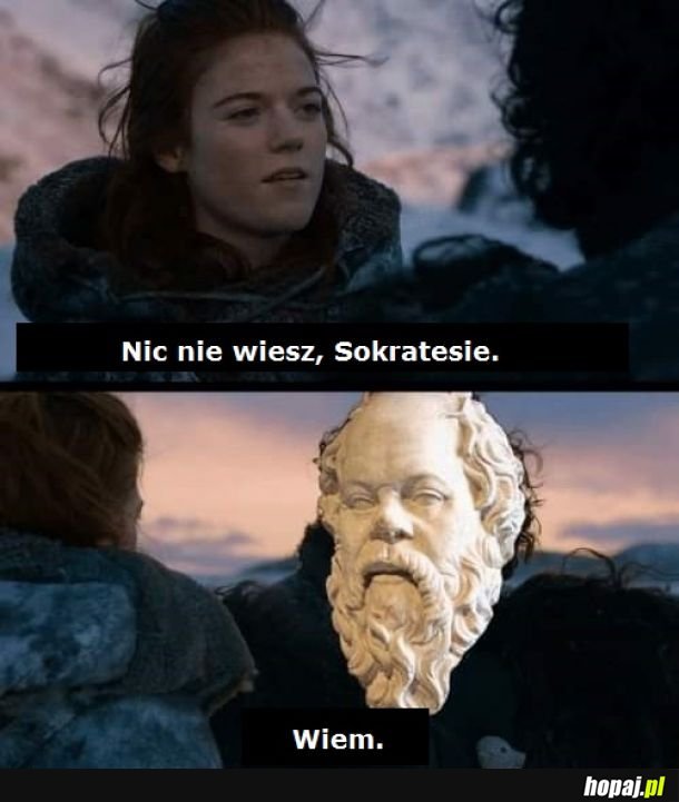 Wiedza