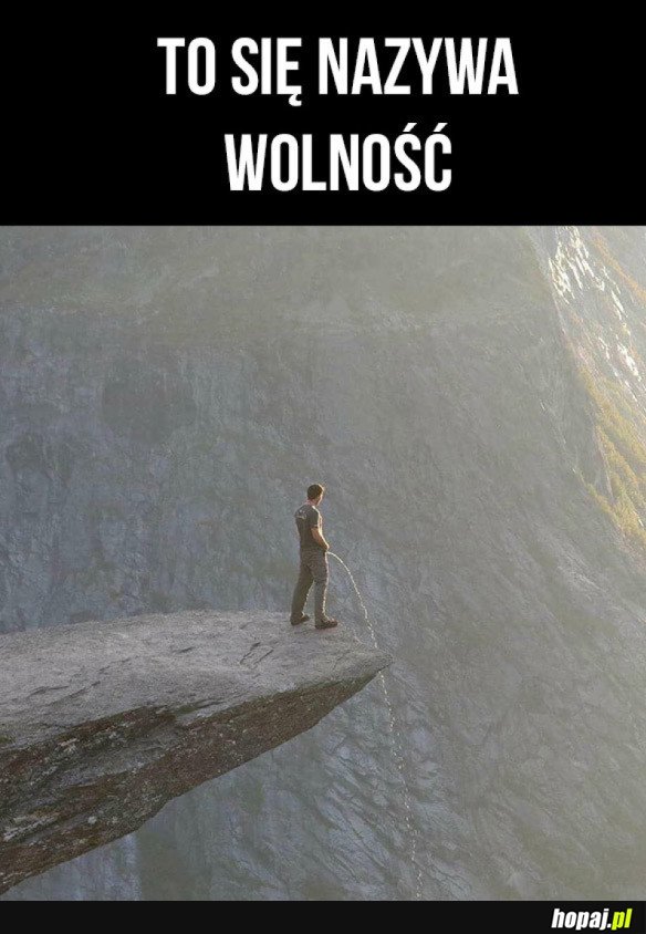 WOLNOŚĆ