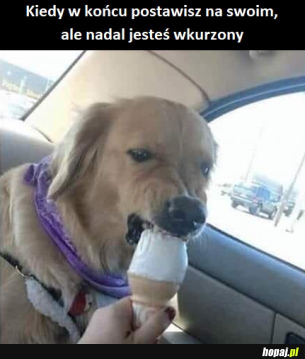 Tak czasem jest