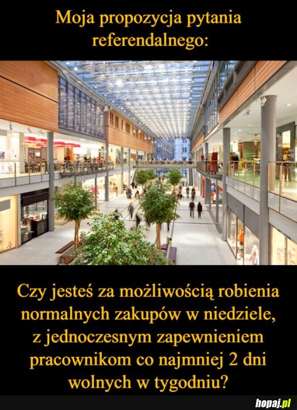 Propozycja pytania referendalnego