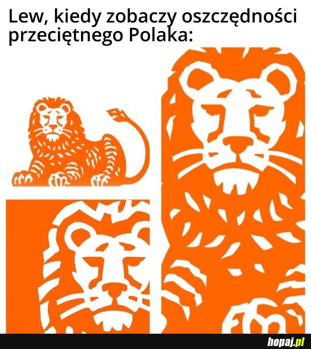 Smutny lew już wie, czemu smutna żaba jest smutna 