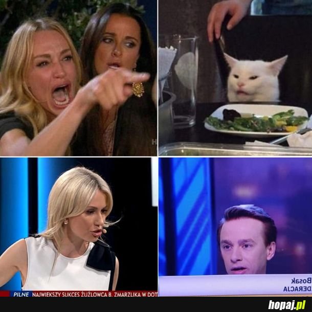  Ewolucja mema 