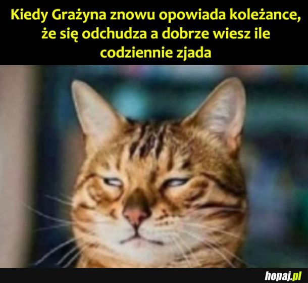 Grażyna daj spokój