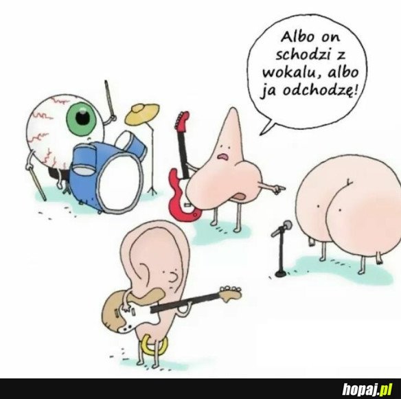DO DUPY TAKA ORKIESTRA