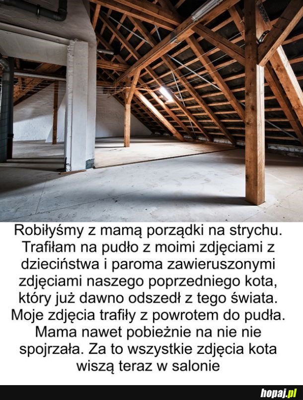 Internauci opowiadają o swoich śmiesznych i kontrowersyjnych historiach, które naprawdę ich spotkały