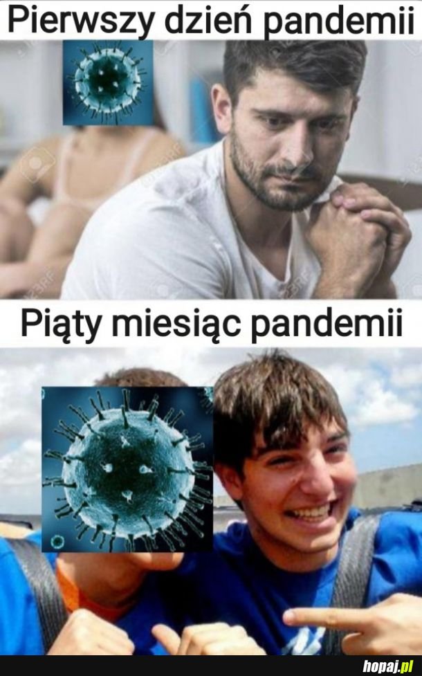 Pandemia