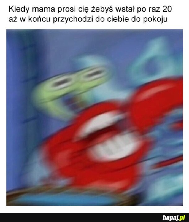 MAMA GESTAPO