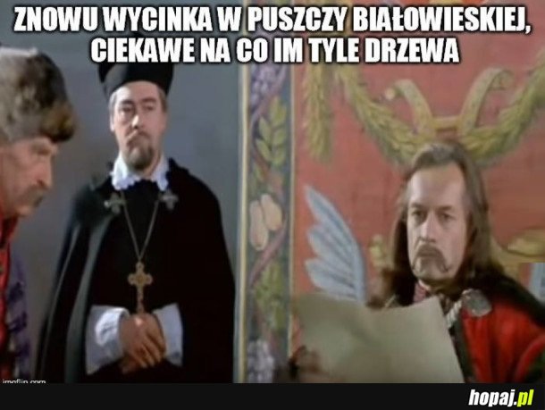 NIE MA DOWODÓW, ŻE JAREMA WIEDZIAŁ O PALACH