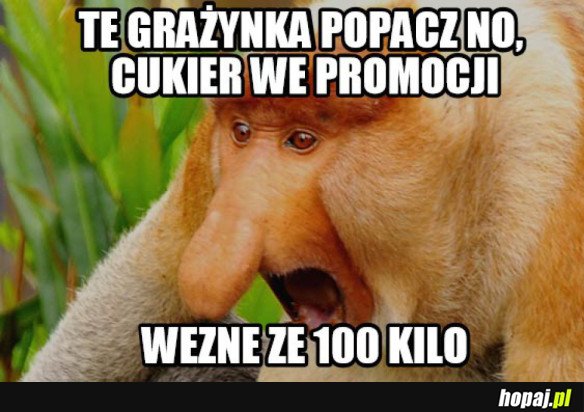 Typowy Janusz