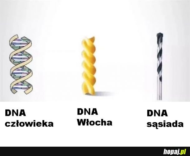 DNA