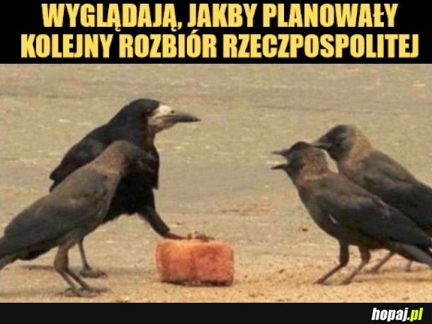 Znowu?