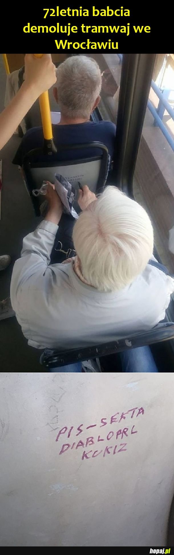 Babcia wandal