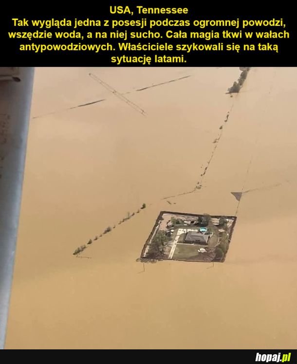 Zabezpieczyli się elegancko