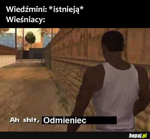 Wiedźmini 
