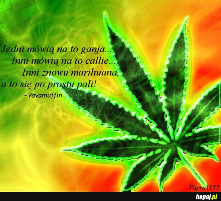 Ganja