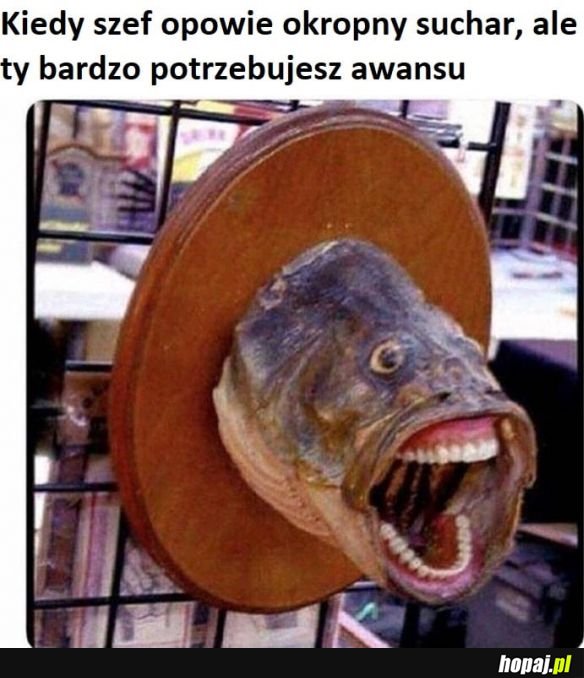 Świetny żart