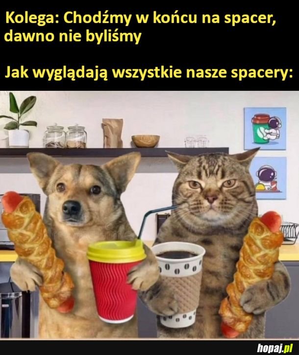 Spacer