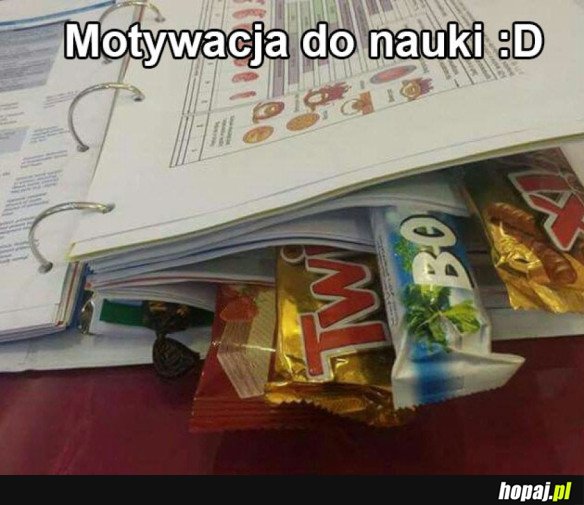 Motywacja do nauki