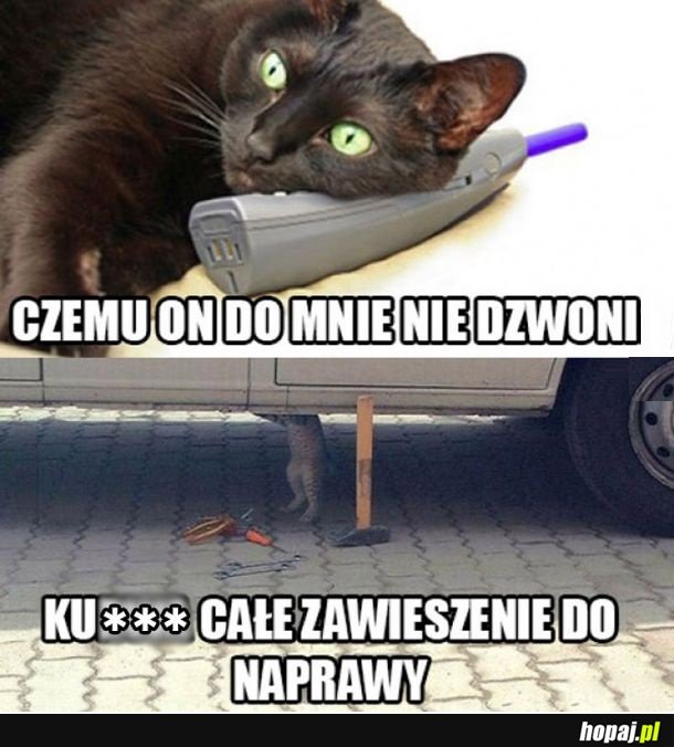 Czemu nie dzwoni?