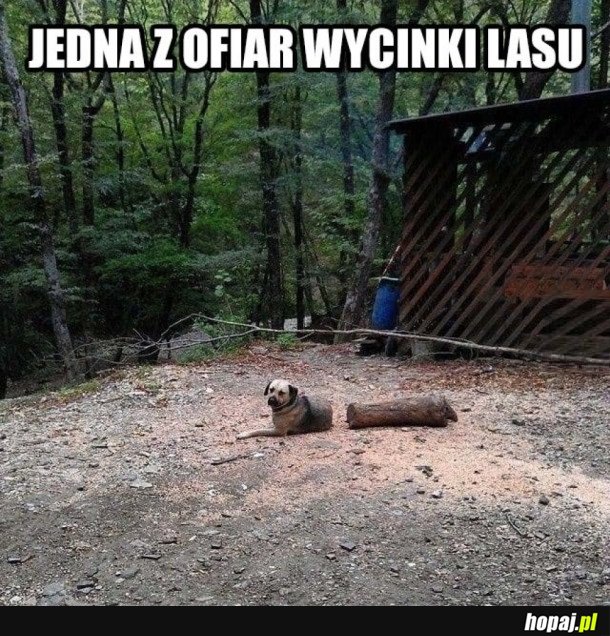 STRASZNE ZDJĘCIE