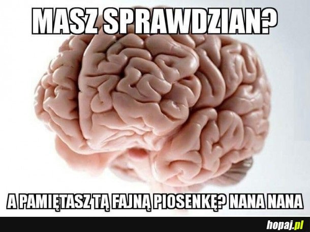 TYPOWY MÓZG
