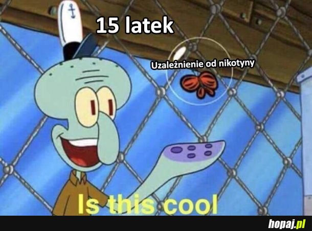 15latek