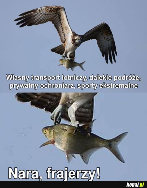 Tyle wygrać