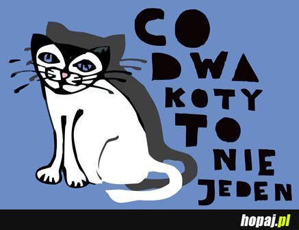 Co dwa koty to nie jeden