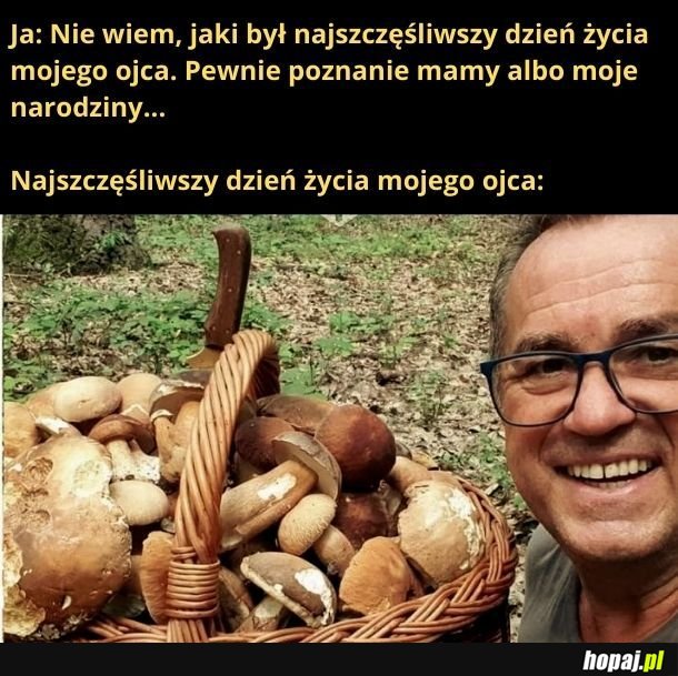 Jestem pod wrażeniem