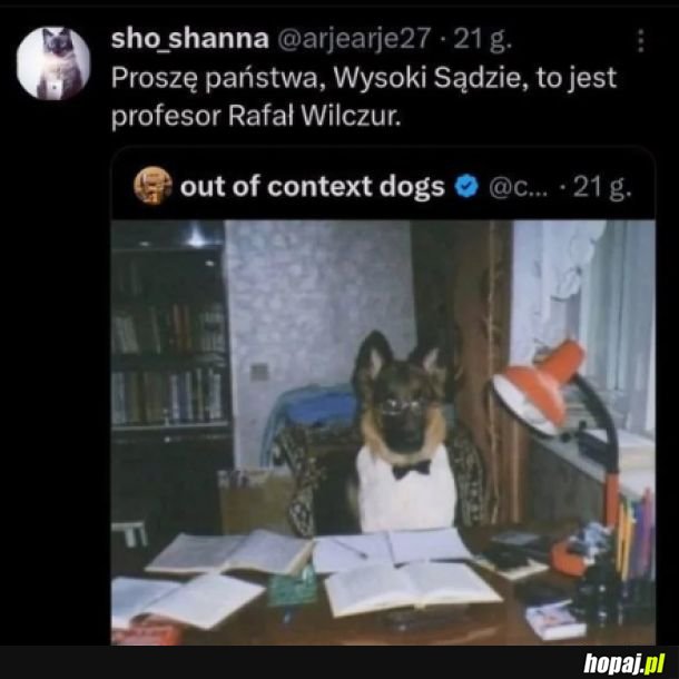 Prof. Wilczur przy pracy