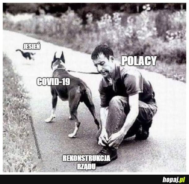 świetny pomysł