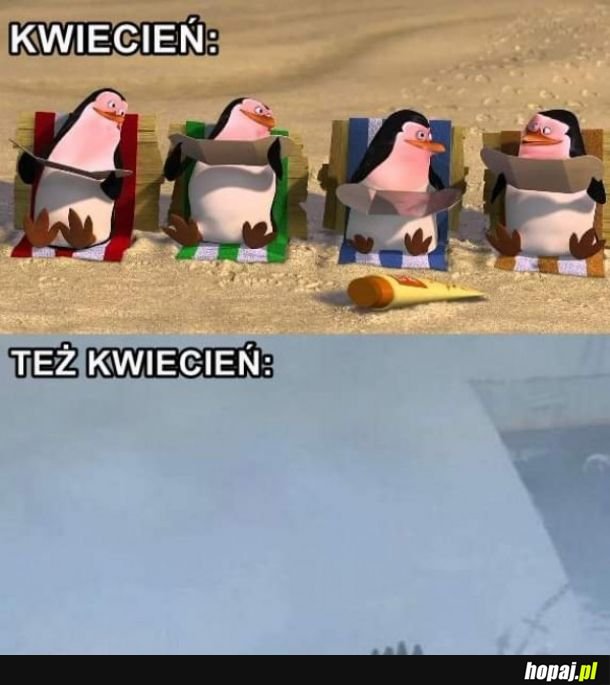 Kwiecień plecień