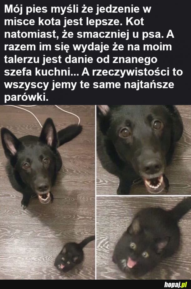Żywienie w domu