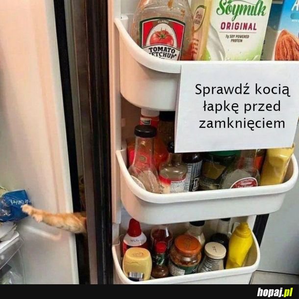 Koniecznie trzeba sprawdzić