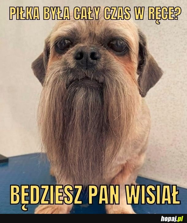 Terrier Brauneński
